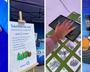 Vzít si Nokii 3100 s sebou na festival? Na Štěrkovně se to vyplatilo