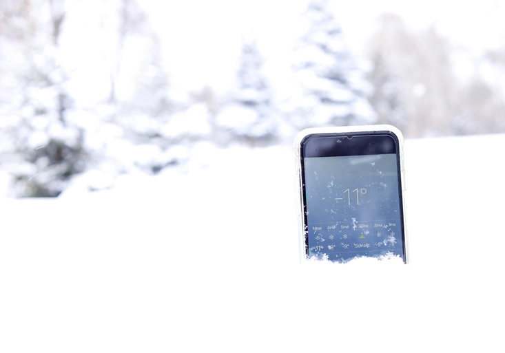 snow in forest