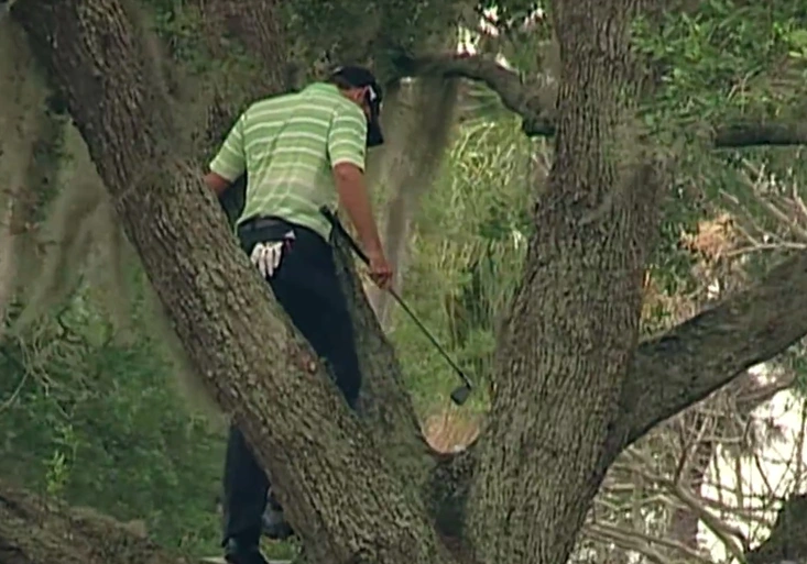Nejlepší golfová rána všech dob? Jak zahrál Garcia přímo z koruny stromu?