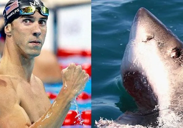 Fenomenální plavec Phelps bude závodit se žralokem! Jak to bude vypadat?