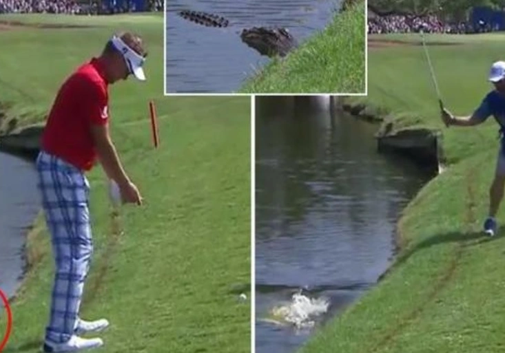 Aligátor číhal z vody na golfistu. Jak dopadl tenhle odpal?