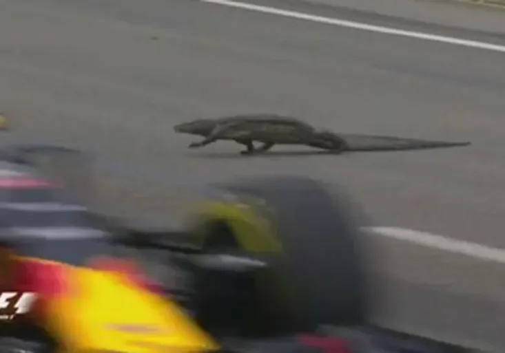 Tváří v tvář Godzille? Verstappena v Singapuru vyděsil varan na trati!