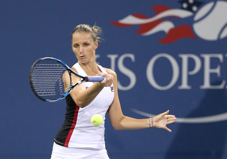 Štěpánek po vyřazení US Open: Bylo to jako v písničce. Ze hry je i Rosol, dál jde Plíšková