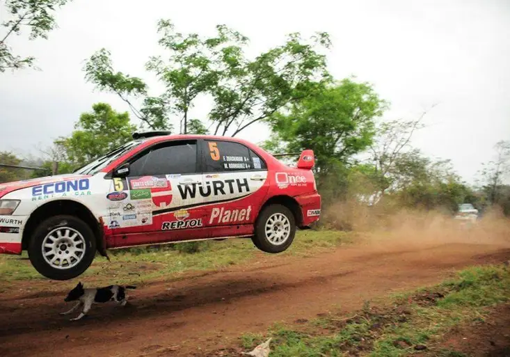 Panebože! Závodník rallye neuvěřitelně přeskočil nejšťastnějšího psa na světě!