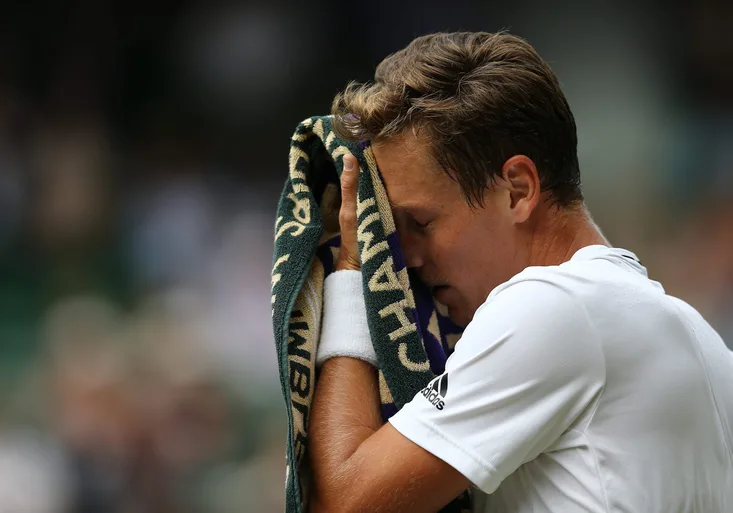 Wimbledon: Murray si povodil Berdycha. Jak kouzlil Raonic proti Federerovi?