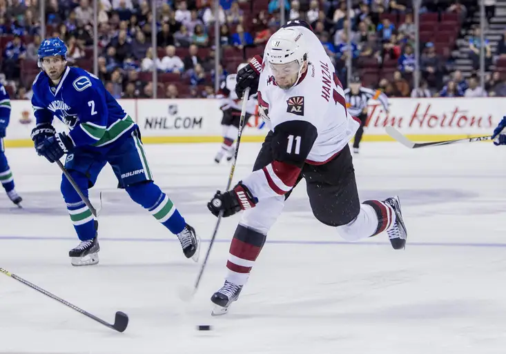 NHL: Hanzal kraluje nahrávačům, po neuznaném gólu však zápas nedohrál.