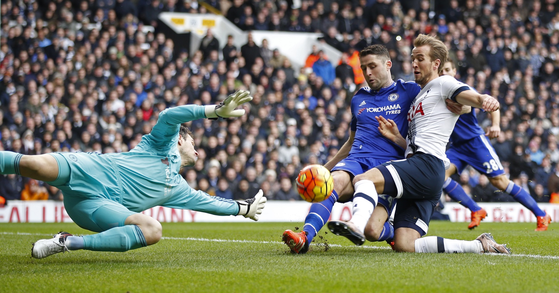 harry kane