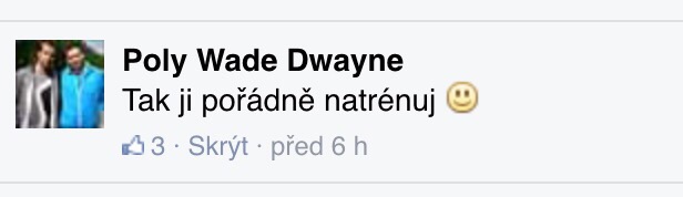 stepec fb 2