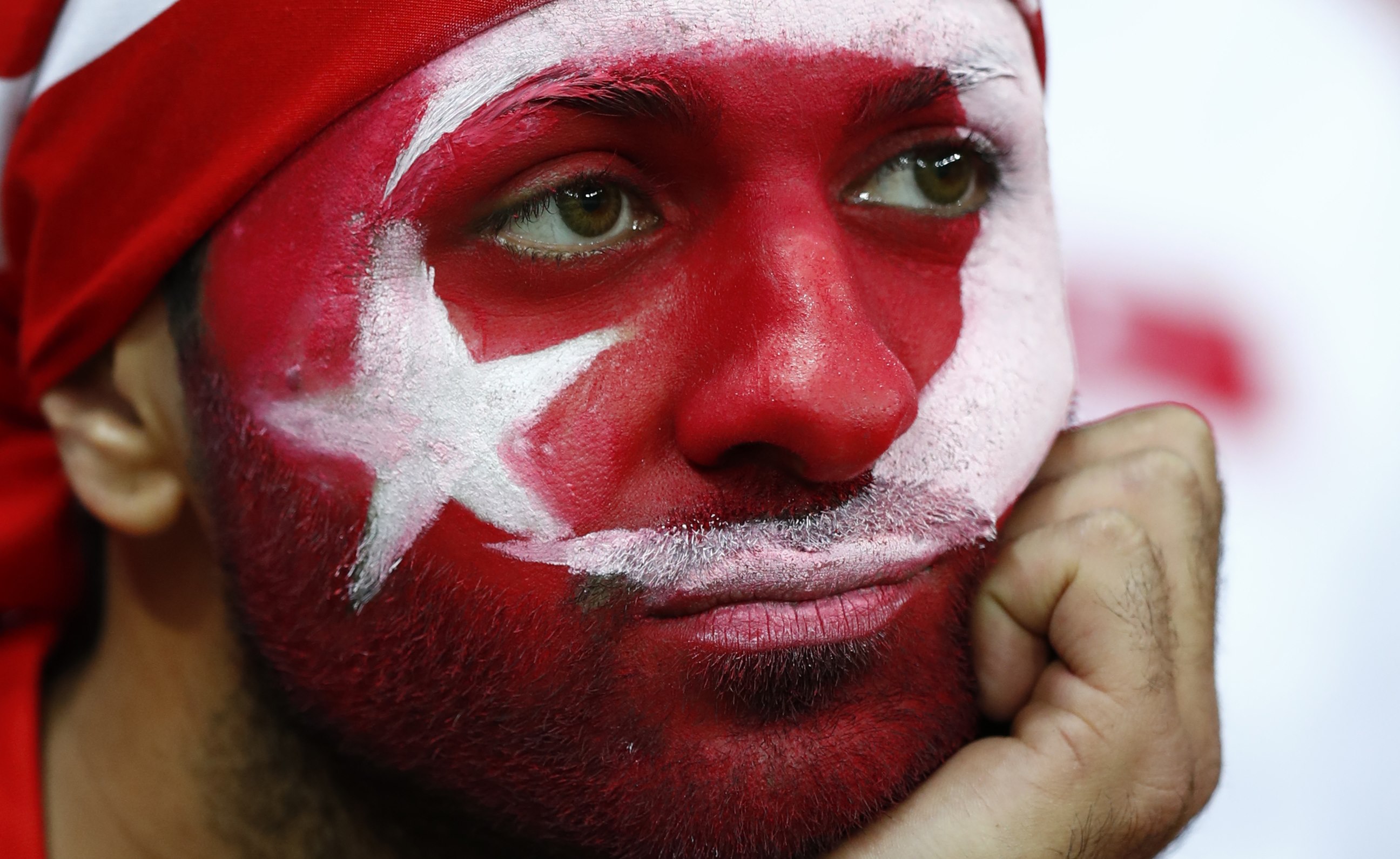 turkey fan