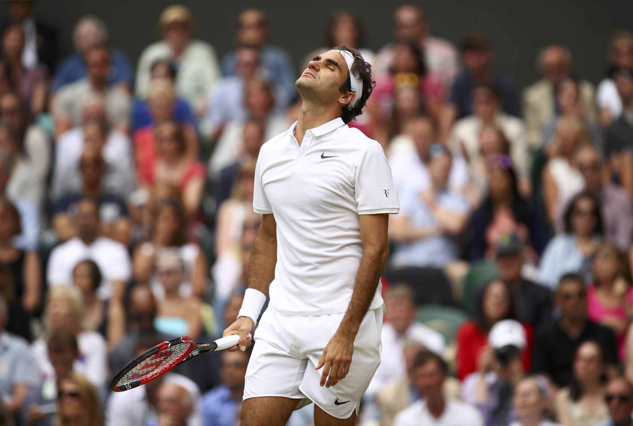 roger federer