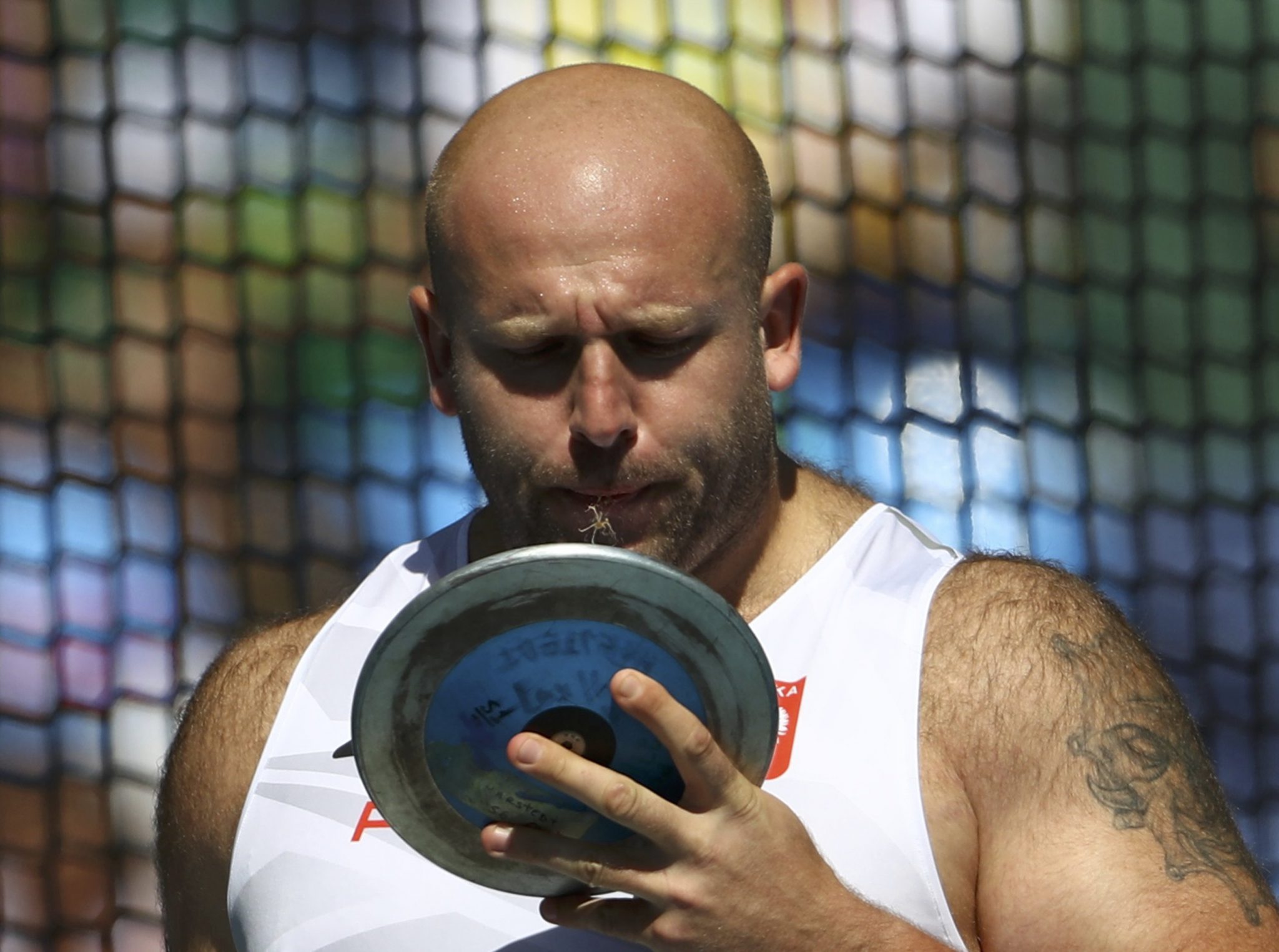 piotr malachowski