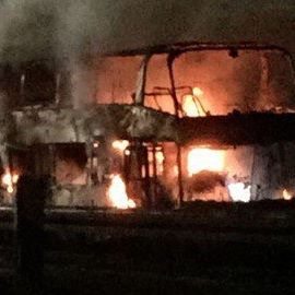 bayern-bus-2
