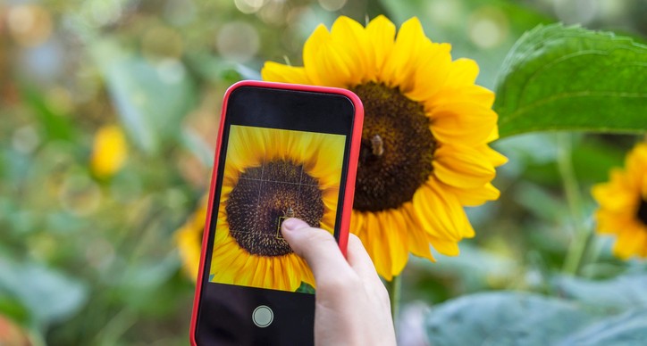 Guru tipy: 10 rad, jak skvěle fotit mobilem